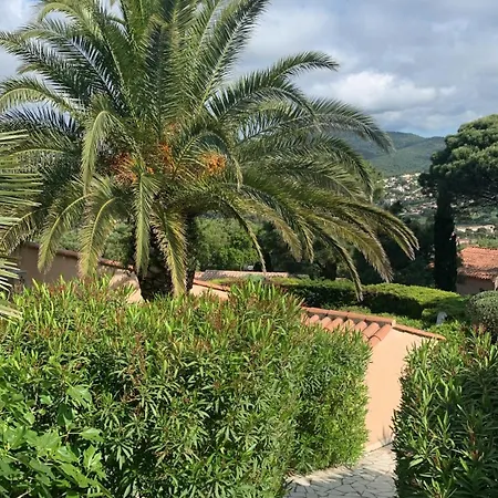 Bellevue Maxime Un Ecrin De Verdure Au Coeur Du Semaphore Piscine Xxl * 생트막시메