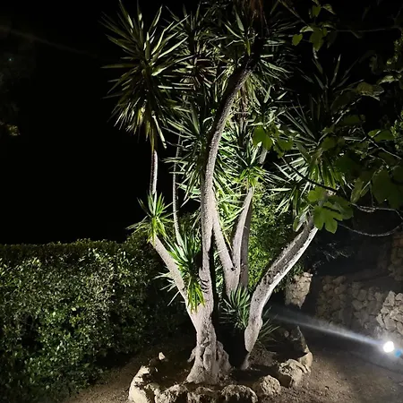 Bellevue Maxime Un Ecrin De Verdure Au Coeur Du Semaphore Piscine Xxl Дом отдыха Сент-Максим