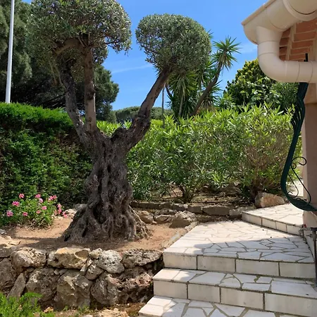 Bellevue Maxime Un Ecrin De Verdure Au Coeur Du Semaphore Piscine Xxl *