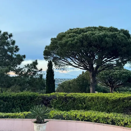 Feriehus Bellevue Maxime Un Ecrin De Verdure Au Coeur Du Semaphore Piscine Xxl Sainte-Maxime