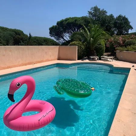 Bellevue Maxime Un Ecrin De Verdure Au Coeur Du Semaphore Piscine Xxl Сент-Максим