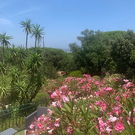 Дом отдыха Bellevue Maxime Un Ecrin De Verdure Au Coeur Du Semaphore Piscine Xxl