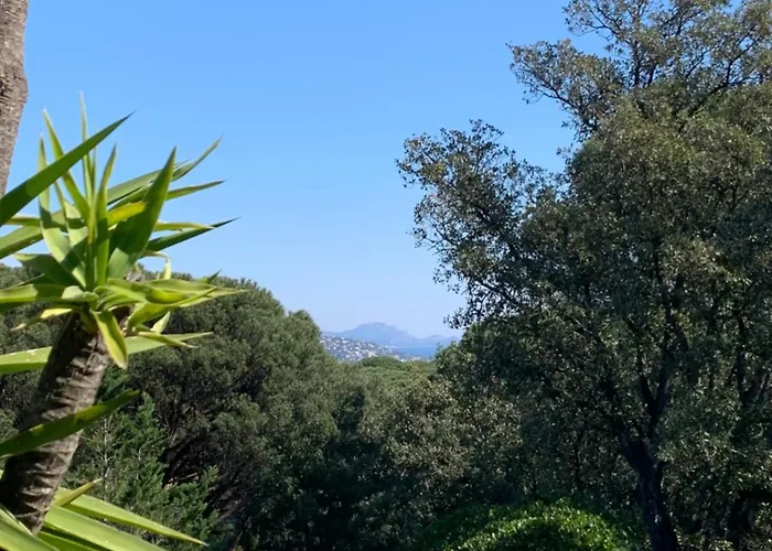بيت للعطل Bellevue Maxime Un Ecrin De Verdure Au Coeur Du Semaphore Piscine Xxl